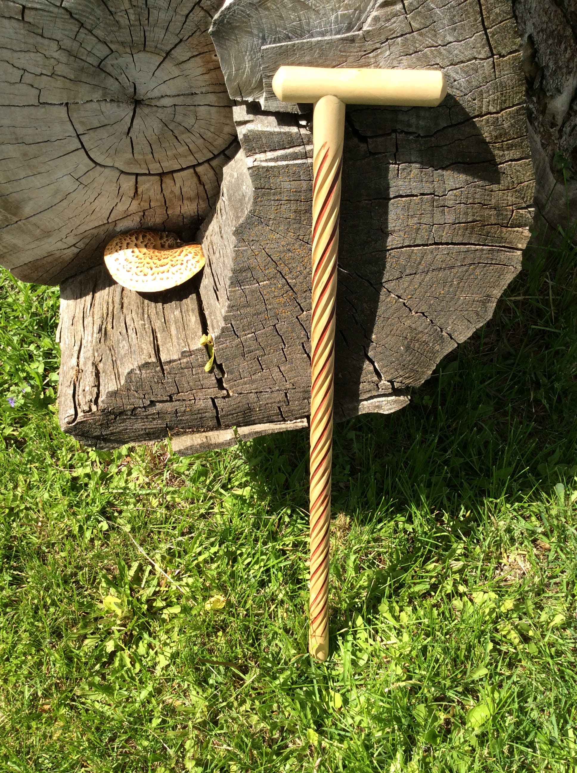 Handcrafted Decorative Walking Cane 26.5 or 67 Cm Etsy