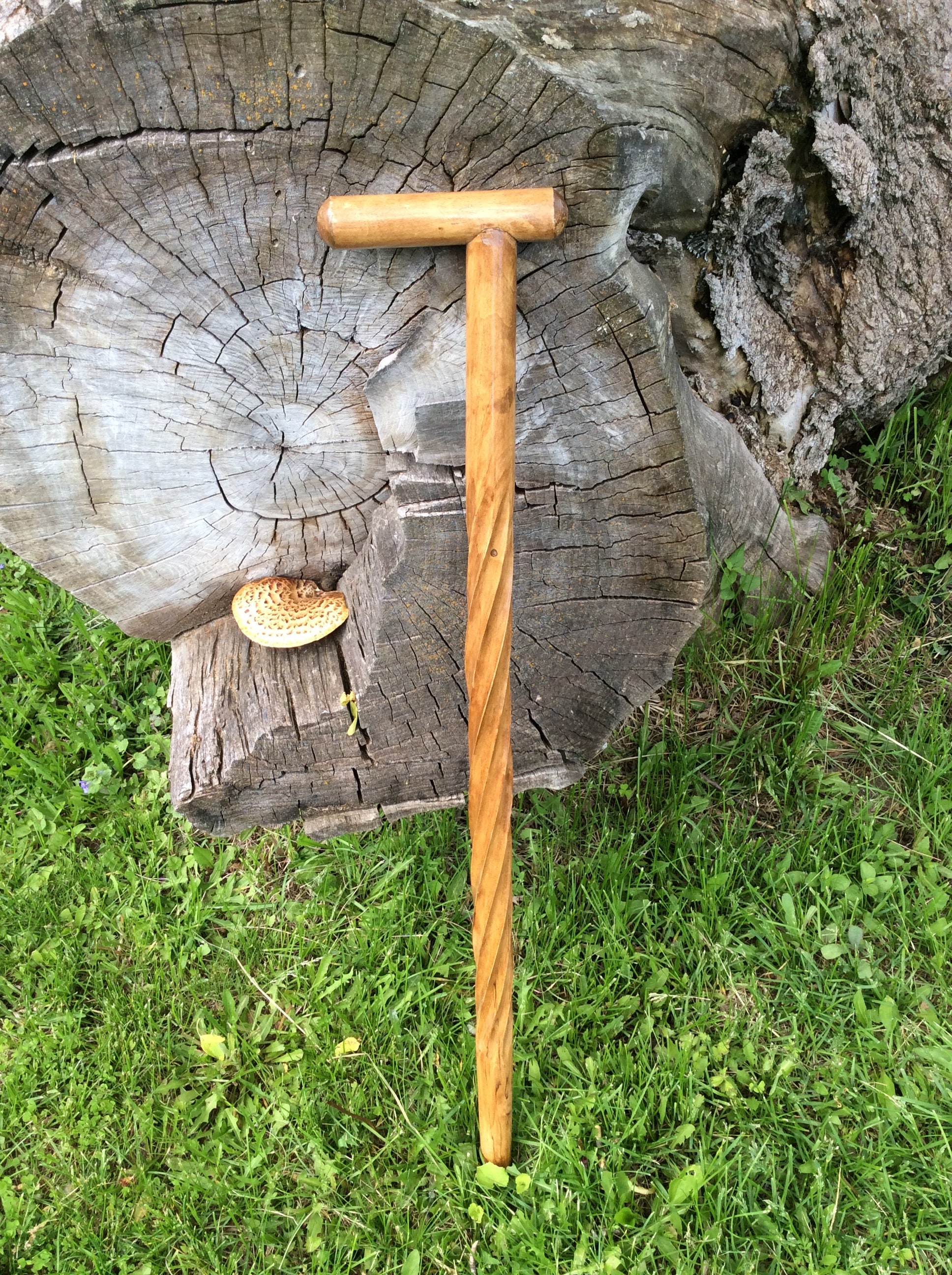 Handcrafted decorative walking cane 33 or 85 cm Etsy