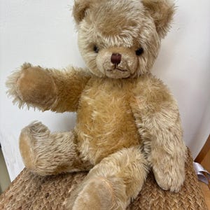 May include: A tan teddy bear with shaggy synthetic fur, dark brown plastic eyes, and a stitched brown nose. The bear is in a seated position with its right arm extended outward, featuring a textured, worn appearance and rounded ears.
