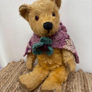 Pedigree Bear - Etsy Canada
