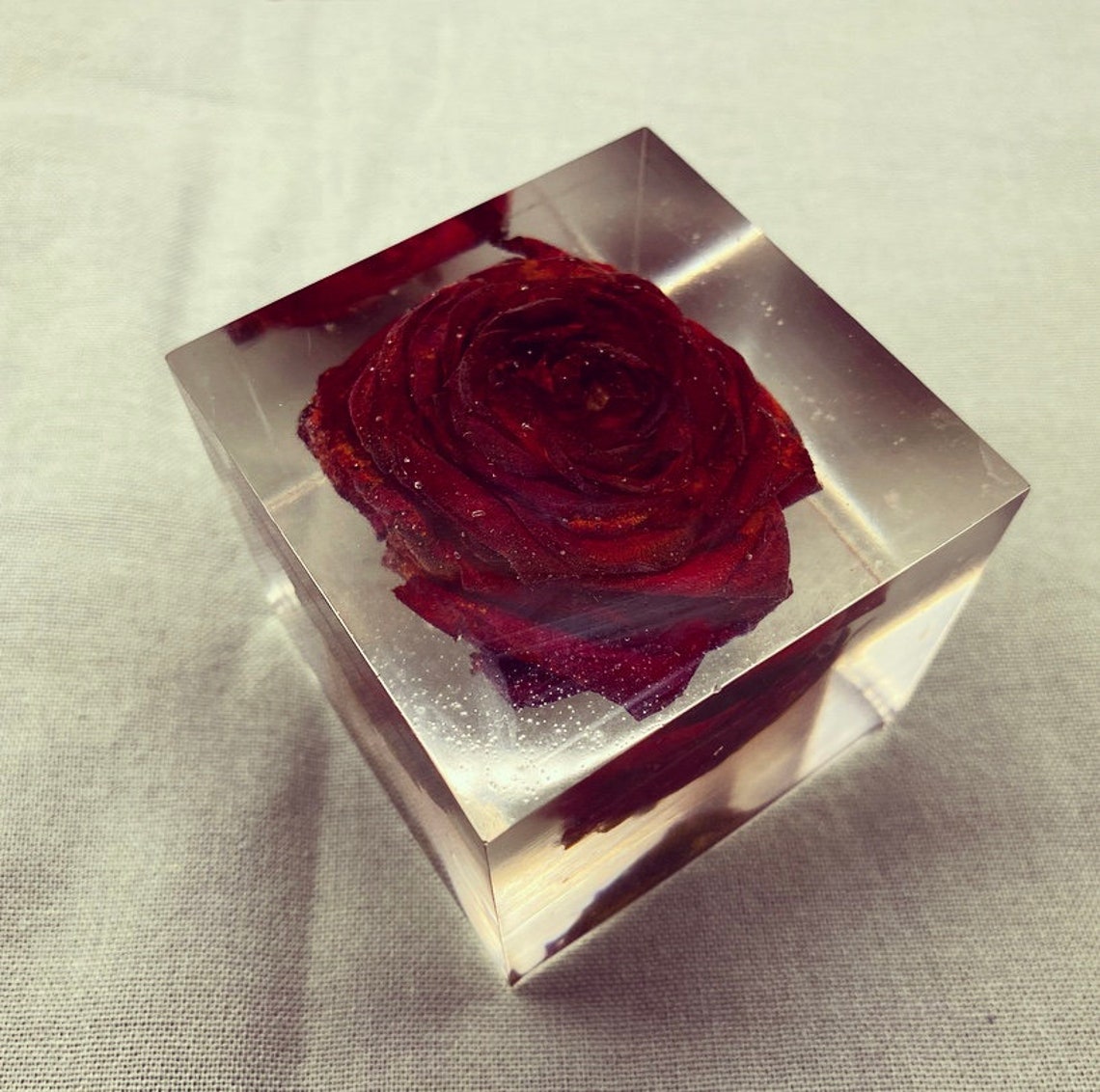 Single rose in resin memorial flower preservation using your Etsy