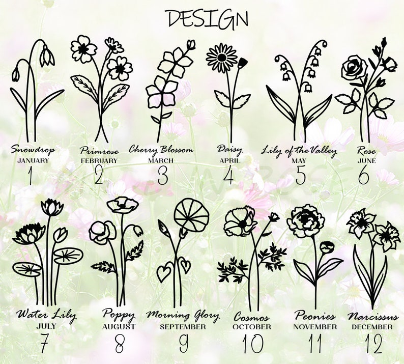 May include: A black and white illustration of 12 different flowers, each representing a month of the year. The flowers are drawn in a simple, minimalist style. The names of the flowers and months are listed below each flower.