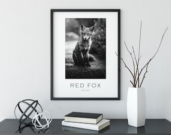 DIGITAL: Fox Print | Fox Poster | Fox Wall Art | Fox Wall Hanging | Fox Printable | Red Fox Print | Black & White Fox Photograph | Fox Decor