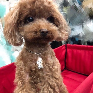 Custom Dog Tag For Dogs, Personalized Dog Name Tag, Engraved Pet ID Tag, Dog Collar Tag