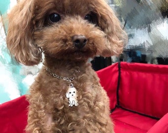 Aangepaste dog tag voor honden, gepersonaliseerde hond naam tag, gegraveerd Pet ID Tag, Dog Collar Tag