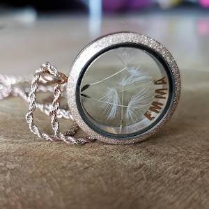 Colar personalizado com nome, medalhão cheio de sementes de dente de leão, aço inoxidável ouro rosa - doce ideia de presente