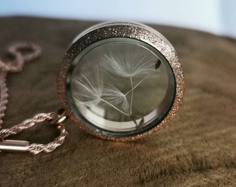 Necklace Dandelion locket rose golden - dried seeds jewelry in gift box