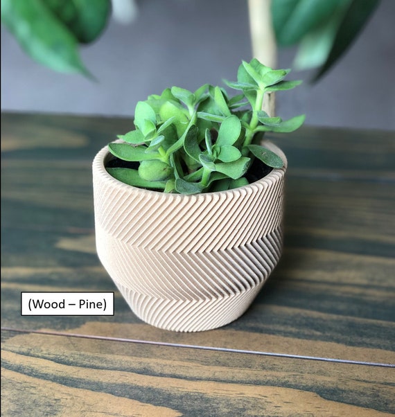 zigzag plant benefits zigzag plant benefits