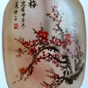 Vintage Chinese Reverse Painted Glass Snuff Bottle