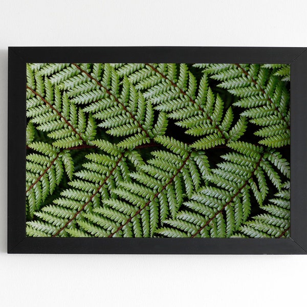 Green Fern Macro Nature Printable Art Instant Download, Printable Wall Art, Poster, Botanical Print, Foliage Print, Leaves Print
