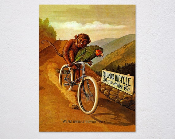 Heavenly mountain biking 2025