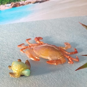 Refrigerator Magnets.   Crab and a Sea Turtle. Set of 2 adorable magnets