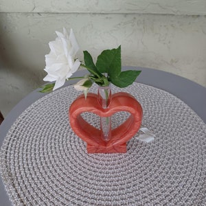 Heart Shaped Vase, Unique Heart Single Flower Vase, Succulent, Rooting Vase