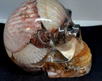Unique Skull made with Real Sea Shells from Florida Beaches