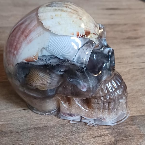 Unique Resin Skull made with Real Sea Shells