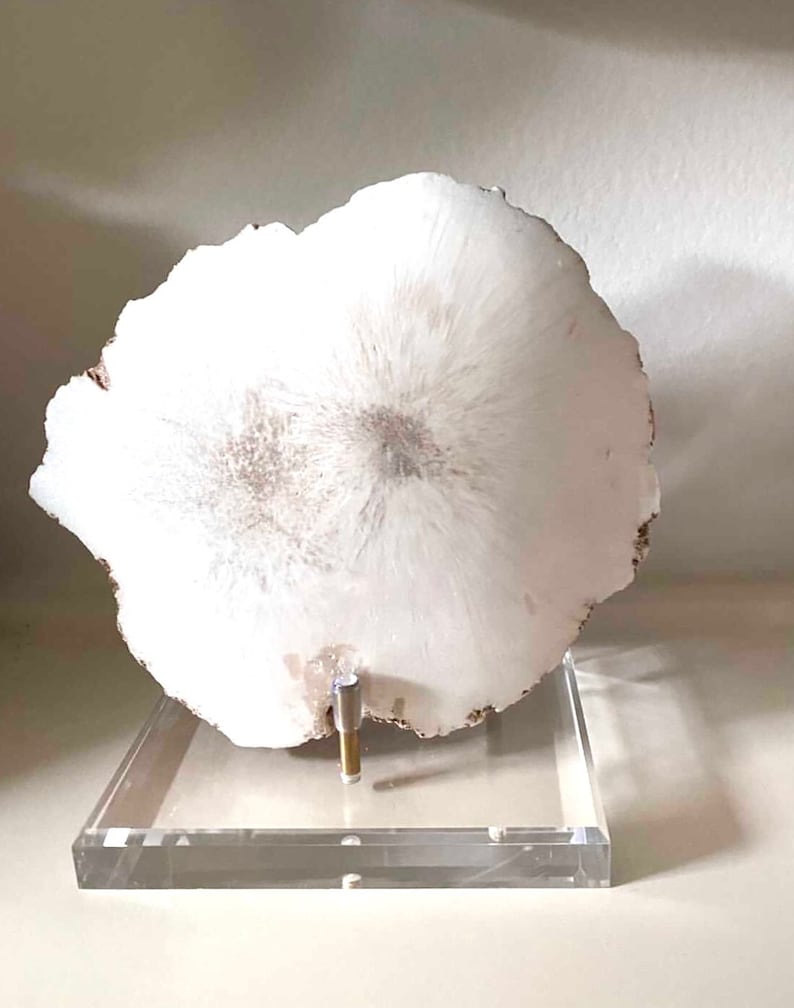 May include: White agate slice on a clear acrylic stand. The agate has a natural, organic shape and a white and gray color pattern.