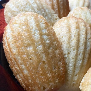 Madeleines Vegan image 4