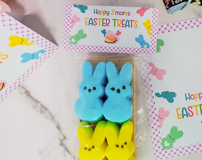 Easter S'mores Treat Bag Topper Printable/Party Decor/Include Microwave Instructions/Easter Basket/Candy bag toppers/Classroom Favors