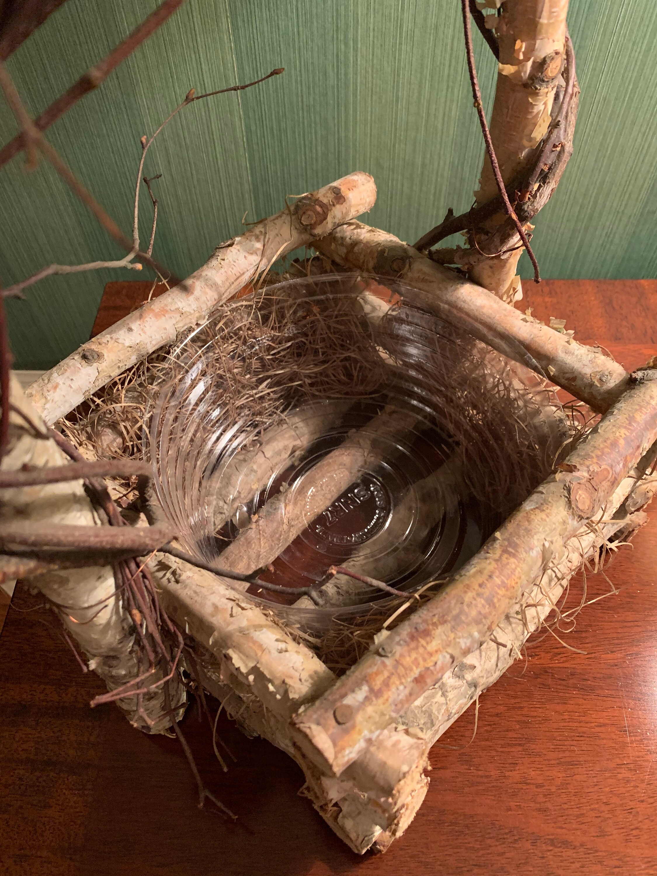 Birch Twig Basket/Planter Rustic Basket Rustic Holiday Birch Etsy