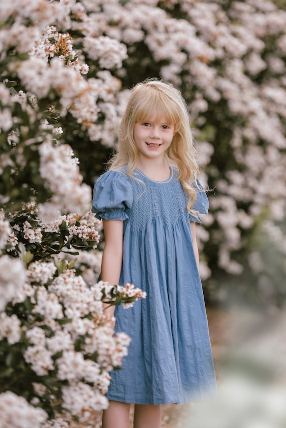 baby blue smocked dress Strasburg Children Smocked Bishop Dress