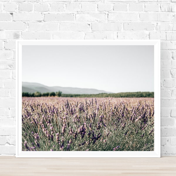 Summertime Lavender Fields in France, France Photography, South of France Art Print [Lavender Field in Provence]