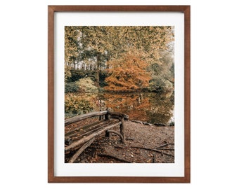 8. [Fall Reflections in Central Park] Photography Print, Autumn Leaves in New York