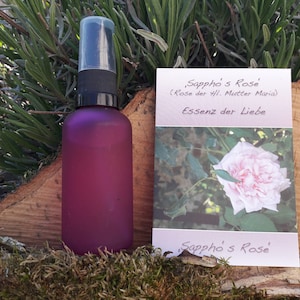 Op de afbeelding: Een paarse glazen spuitfles met een zwarte dop, naast een kaart met de tekst "Sappho's Rose" en een foto van een roze roos. De fles staat op een houten oppervlak met groen.