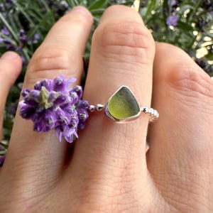 Può includere: Un anello in argento con un singolo pezzo di vetro marino traslucido color verde oliva, di forma irregolare, incastonato in una lunetta di metallo liscia. Il gambo dell'anello è composto da una serie di piccole sfere d'argento collegate.