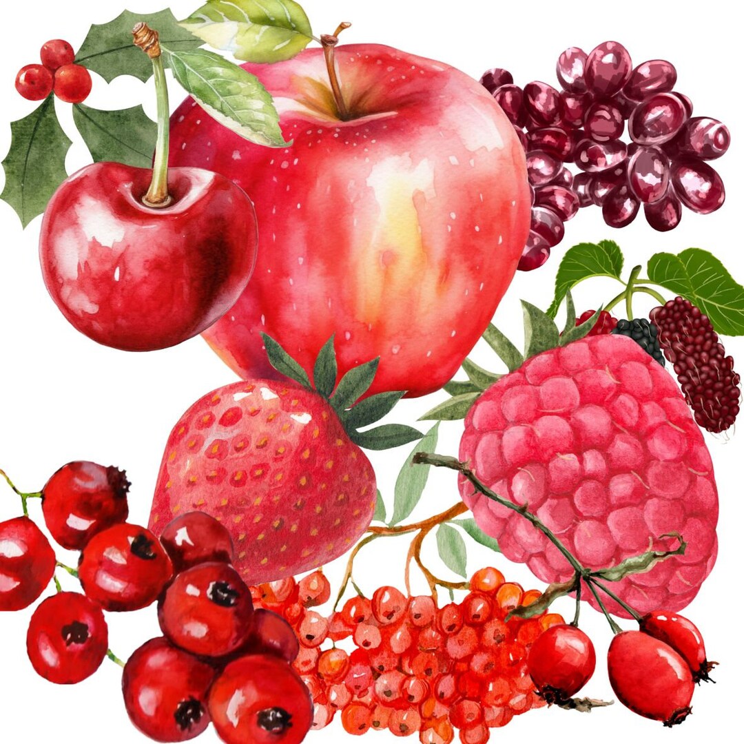 RED BERRIES - Visual Attention Worksheets - Etsy