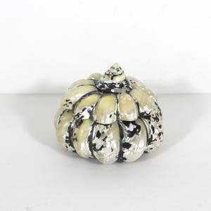 Vintage Shell Trinket Box Removable Lid, Treasure Box, Boho Beach Decor, Eclectic Bohemian Nautical, Sea Shells Seashell Love