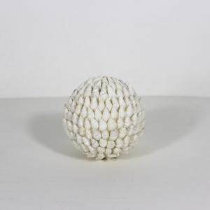 May include: A spherical decorative object completely covered in small, off-white, pointed sea shells. The shells are arranged in a dense, overlapping pattern, creating a textured, rounded surface that reflects light across its many individual points.