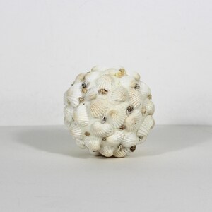 May include: A spherical decorative object completely covered in small, white, off-white, and light tan seashells. The shells are densely packed together, creating a textured, rounded surface with varied natural shapes and sizes.