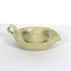 May include: A light green ceramic citrus juicer with a textured surface and a handle. The juicer has a small, cone-shaped spout for pouring.