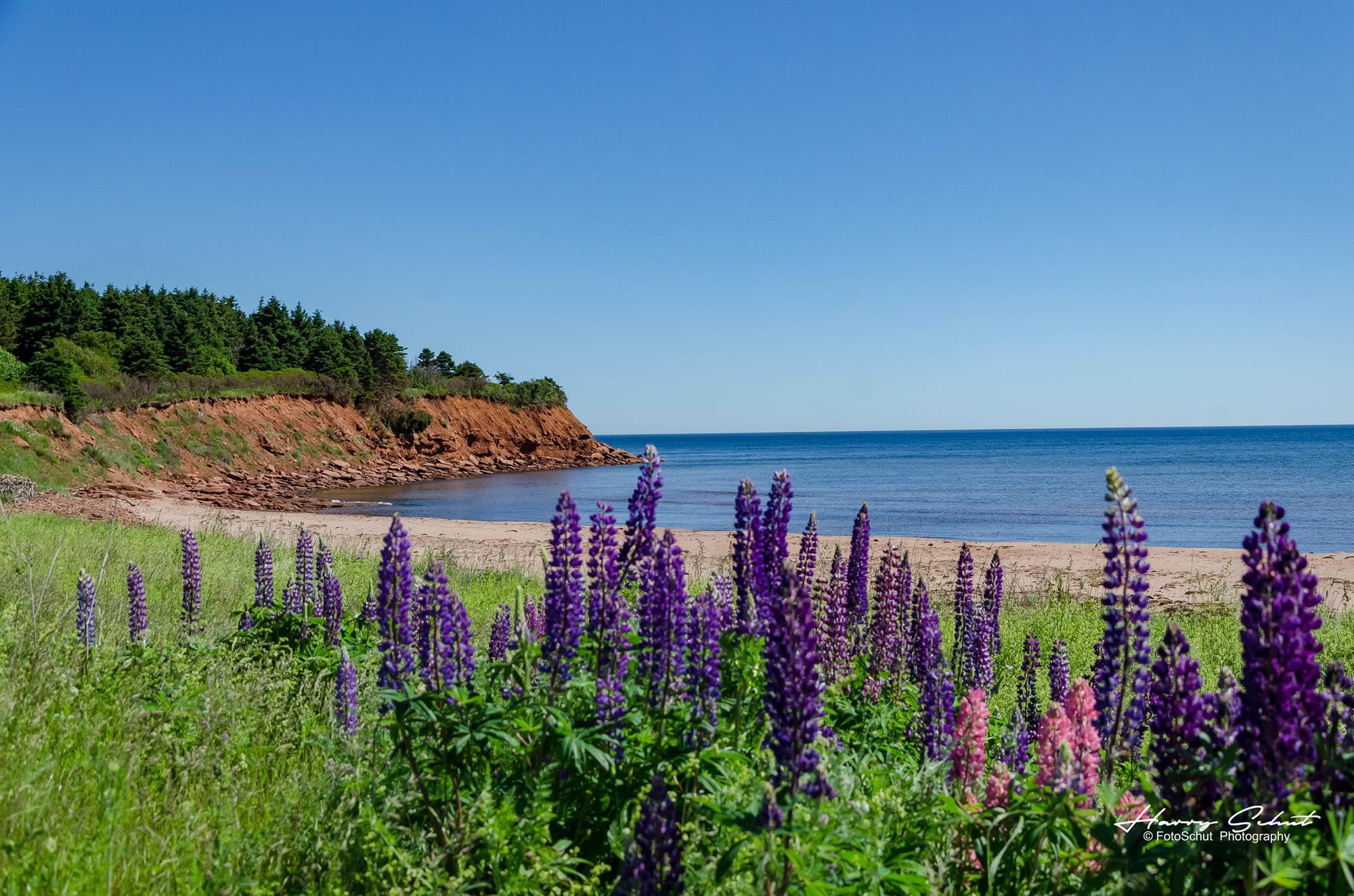 The Beauty of PEI Fine Art Print North Rustico PEI Etsy