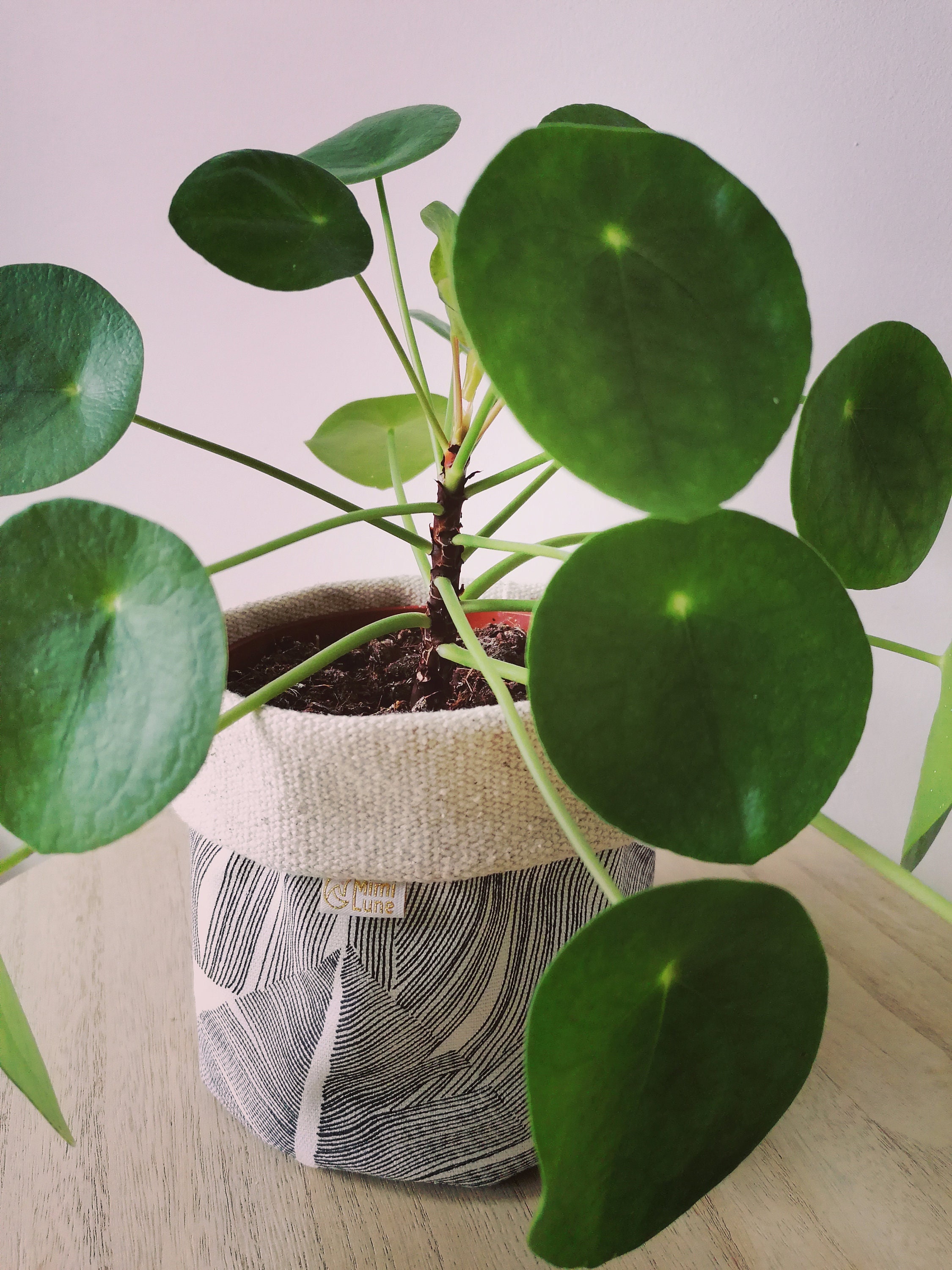 Cache Pot en Tissu ou Panière de Rangement