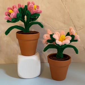 May include: Two handmade pipe cleaner flowers in terracotta pots. The flowers have pink petals with yellow centers and green stems and leaves. One pot sits on a white cube. The other pot sits on a light blue surface.