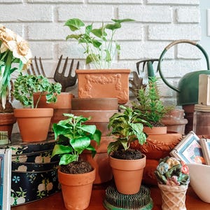 Fake herbs plants for kitchen
