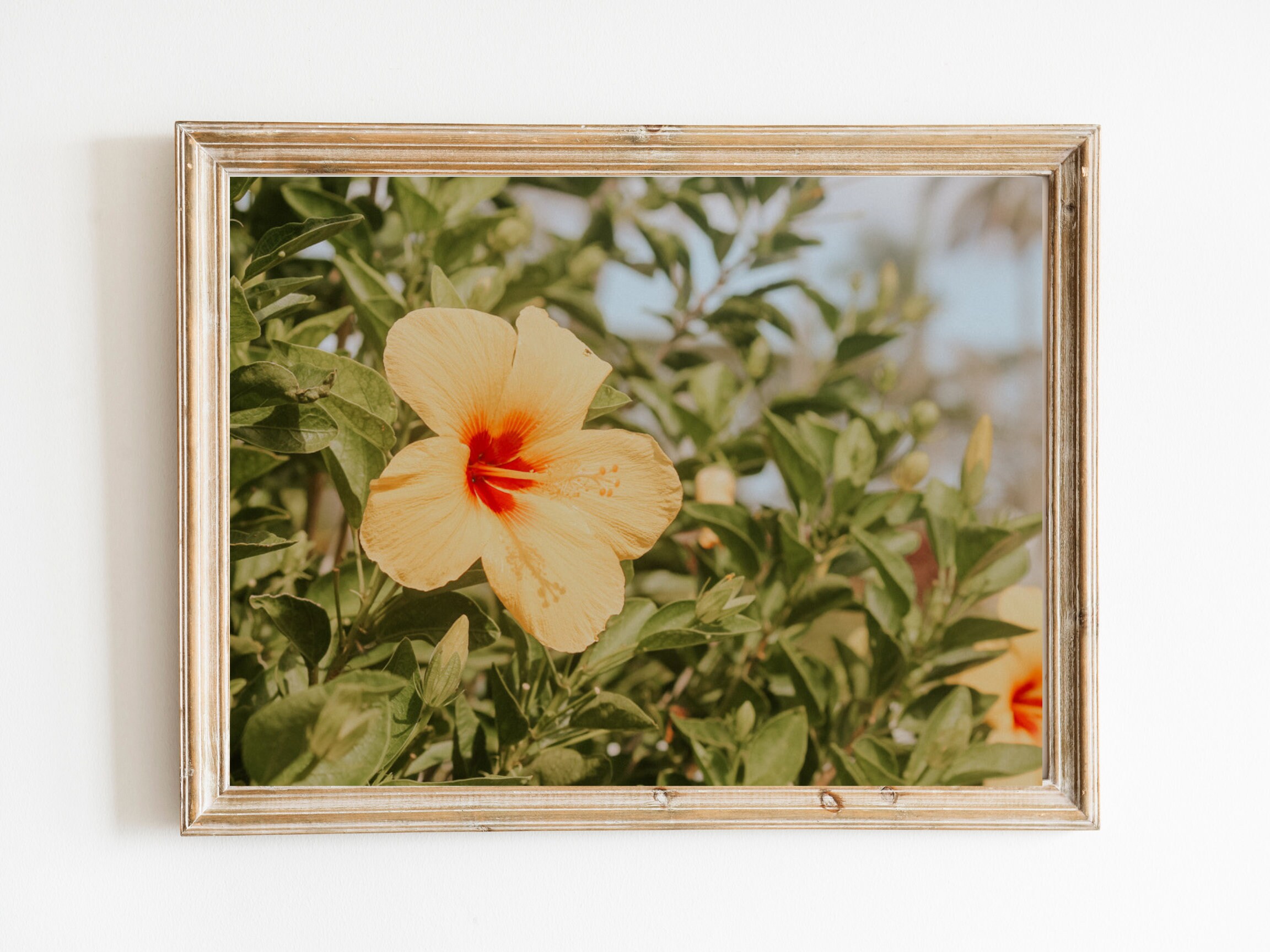 Hawaiian Hibiscus Print Wall Art Tropical Wall Art Etsy