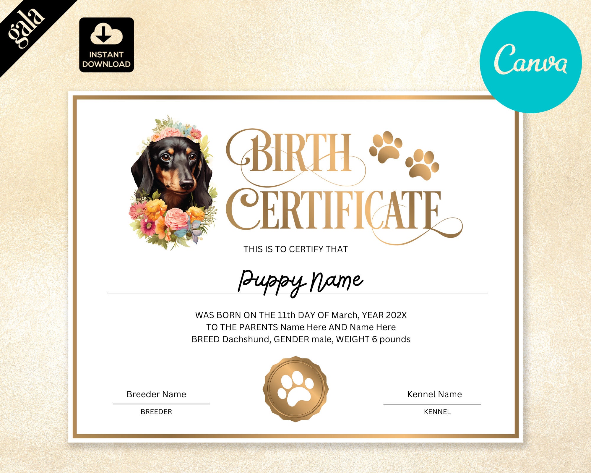 Dachshund Dog Birth Certificate Template 006