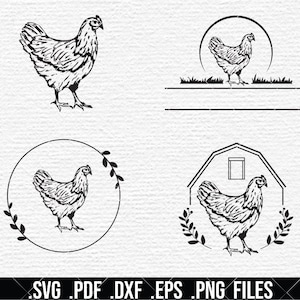 Fazenda de ovos de galinha SVG, silhueta de galinha, ovo orgânico, celeiro de galinha de fazenda, caixa de ovos SVG, carimbo de ovo SVG 028