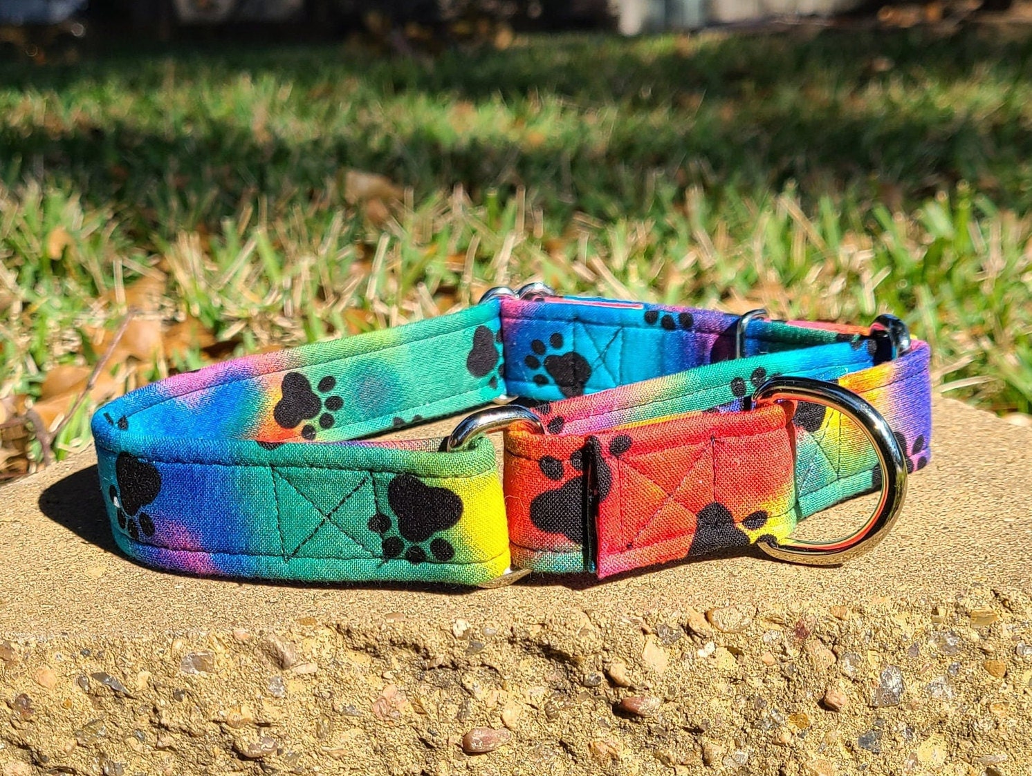 Tie Dye Dog Collar Paw Print Dog Collar Martingale Collar Etsy
