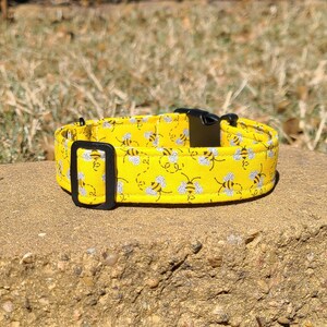 Collier de chien glittery bumblebee, collier de Martingale, collier de boucle