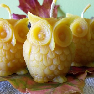May include: Three small, yellow beeswax candles shaped like owls. The owls have detailed features, including eyes, beaks, and feathers. The candles are sitting on a bed of autumn leaves.