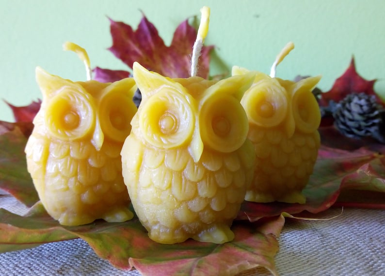 May include: Three small, yellow beeswax candles shaped like owls. The owls have detailed features, including eyes, beaks, and feathers. The candles are sitting on a bed of autumn leaves.