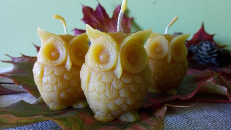 May include: Three small, yellow beeswax candles shaped like owls. The owls are sitting on a bed of autumn leaves.