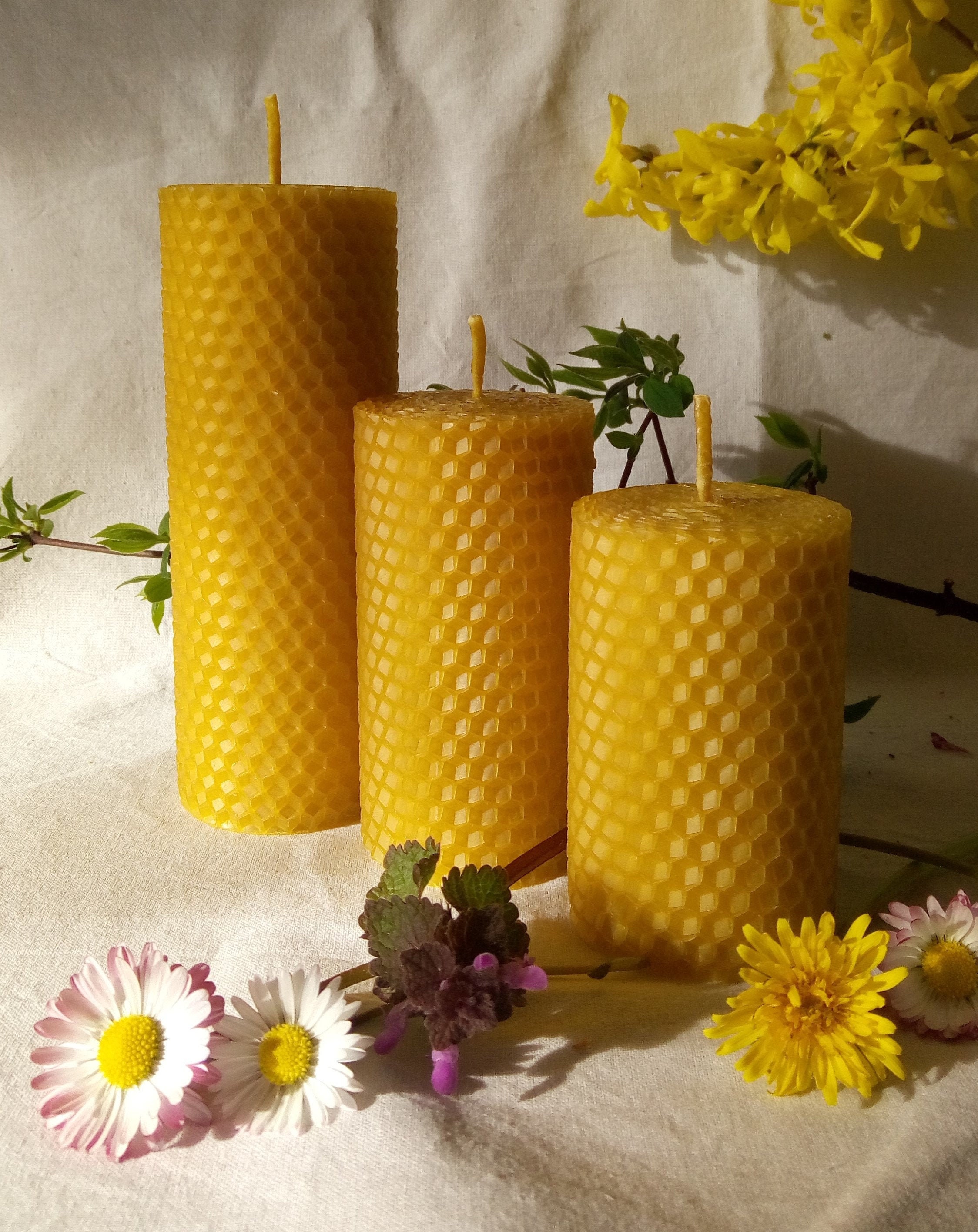 Apis Cera - Lucienne - Hand rolled pure beeswax candles
