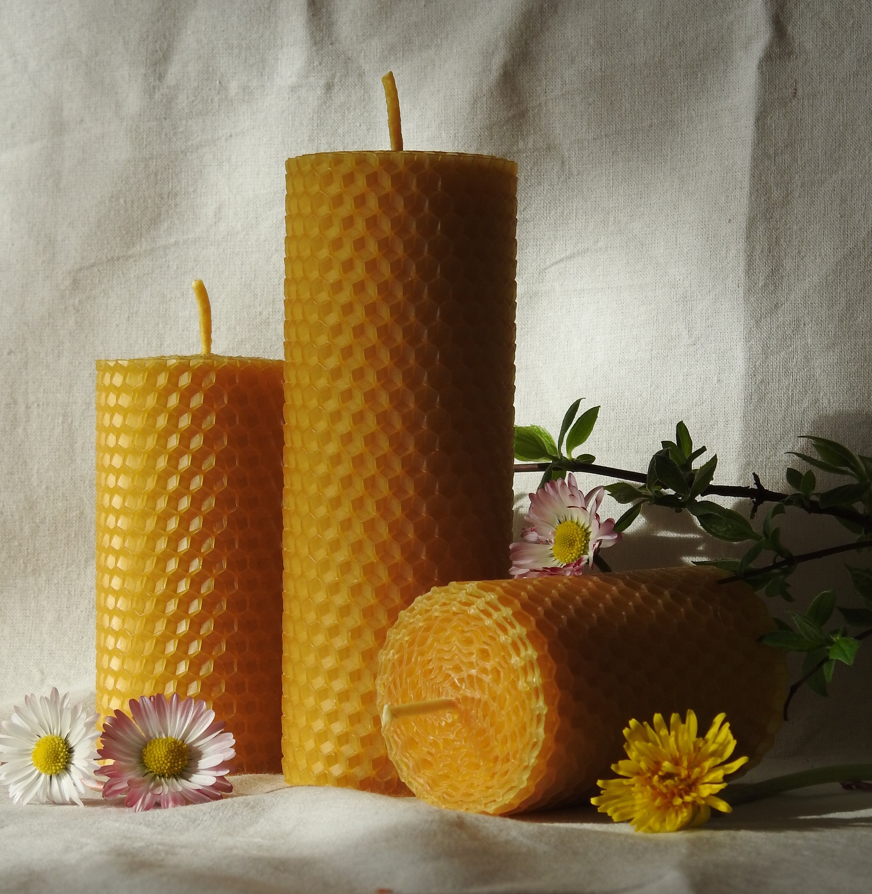 Hand Rolled 100% Pure Beeswax Candles, Honeycomb Candles, Set of 3