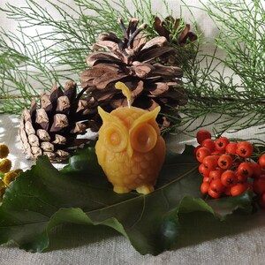 May include: A small, yellow beeswax candle shaped like an owl, surrounded by pine cones, red berries, and yellow flowers on a brown fabric background.