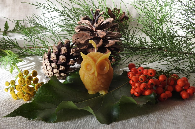 May include: A small, yellow beeswax candle shaped like an owl, surrounded by pine cones, red berries, and yellow flowers on a brown fabric background.