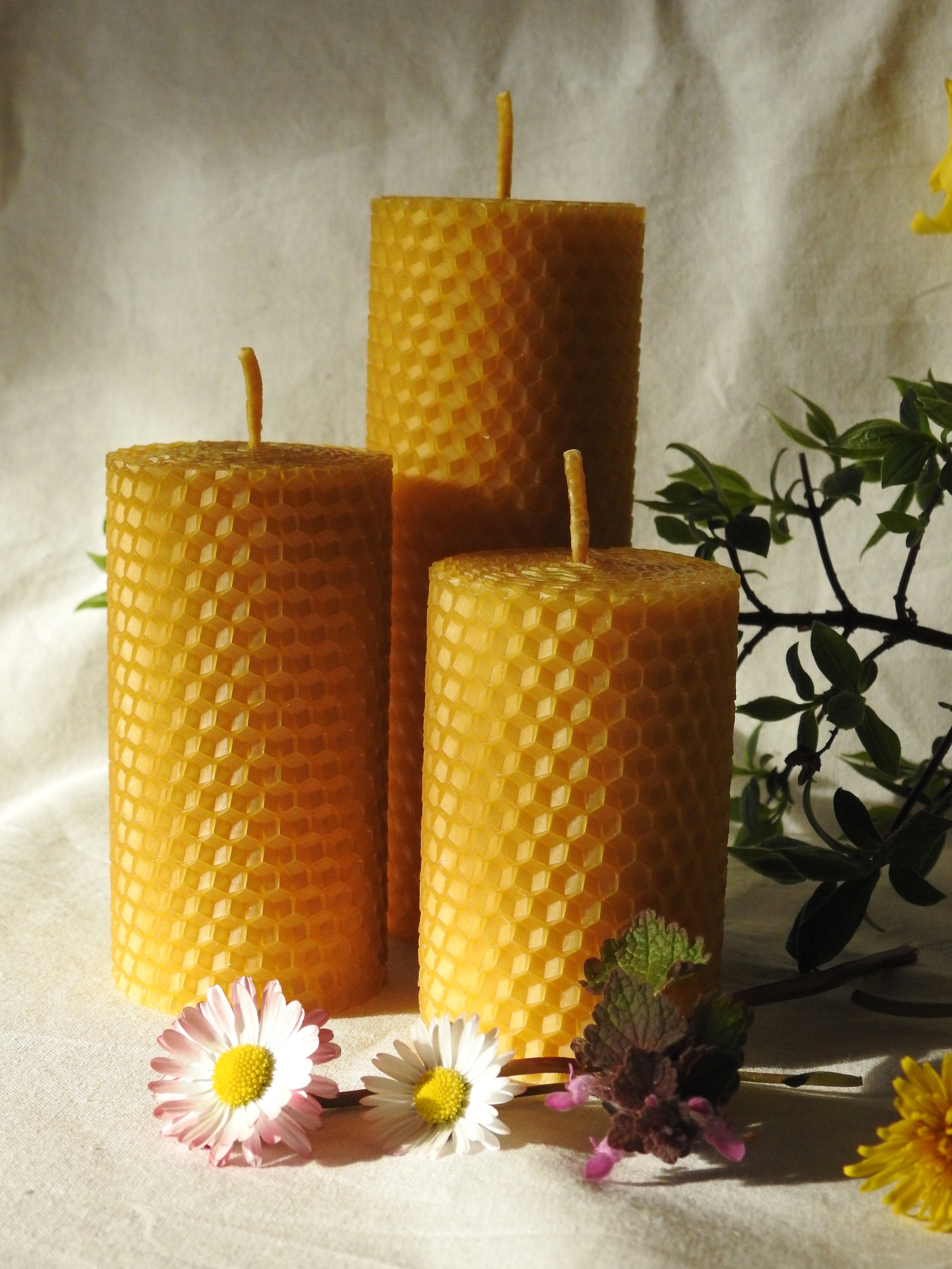 Velas de cera de abeja natural Ecológicas Elegantes Decorativas.  Elaboración artesanal saludables fragantes. 100% natural pabilo de algodón.  Paquete de 3 velas de 7.11 cm (2.8”) x 5.08 cm (2”) c/u 